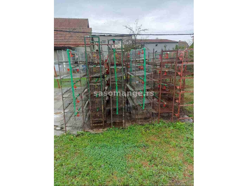 Kavezi za japanske prepelice