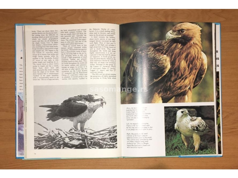 THE TREASURY OF BIRDS - 147 colour and black and white photographs