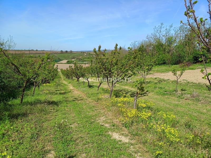 Poljoprivredno zemljište Irig