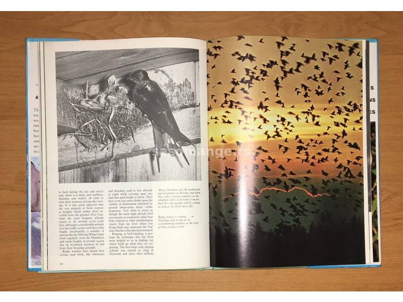 THE TREASURY OF BIRDS - 147 colour and black and white photographs