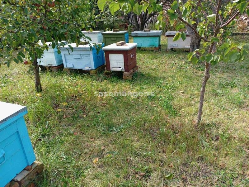 košnice sa pčelama i hranom