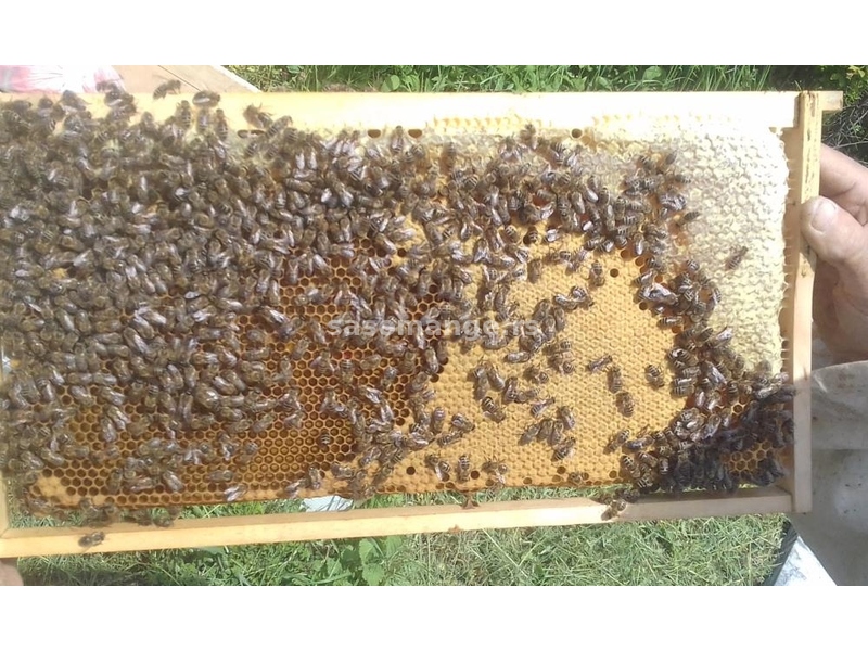 IZDAVANJE RAČUNA ZA SUBVENCIJE - pčele - društva - rojevi - satne osnove - vosak