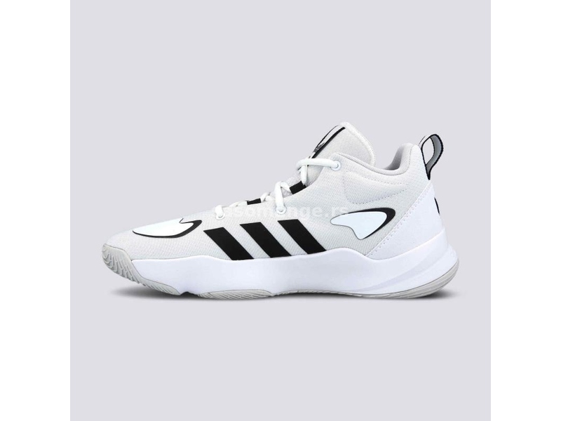 ADIDAS PRO N3XT