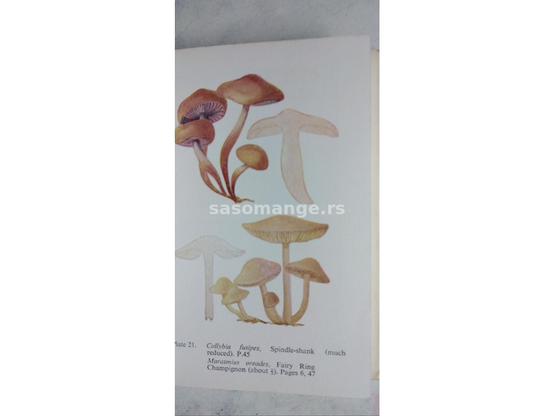 Knjiga:The Observers Book of Common Fungi (O gljivama) format 15 cm. 118 str. (Bogato ilustrovana).
