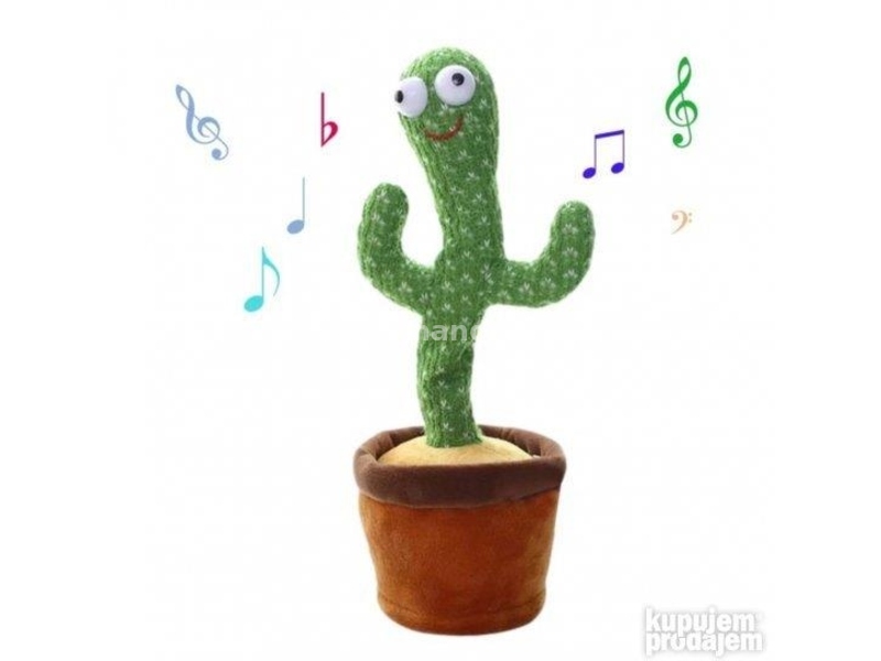 Razigrani muzicki kaktus-ponavlja reci