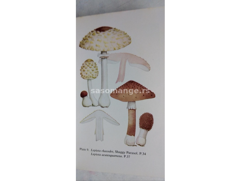 Knjiga:The Observers Book of Common Fungi (O gljivama) format 15 cm. 118 str. (Bogato ilustrovana).