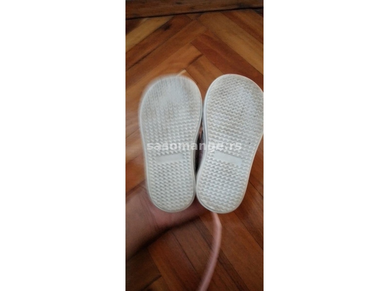 Polino cipelice, 20