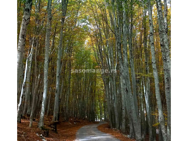 Imanje na Njegusima, Nacionalni park Lovcen