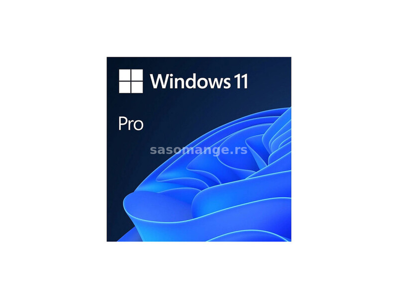 Windows Pro 11 FPP 64-bit (HAV-00164)
